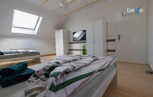 Scherlebeck Apartment | BEGE APARTMENTS TeamZone