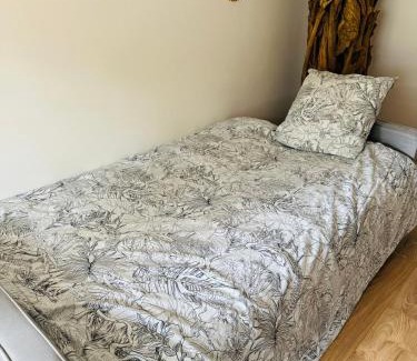 Les Longs Champs Apartment | Bel appartement proche Parc & Lac