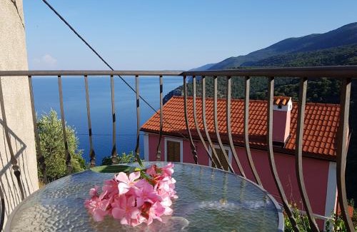 Beli Apartment | Beli Casa