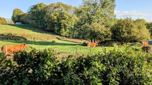 Dournazac House | Belle vue