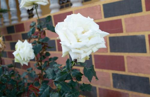 Tagleft House | berber discovery land