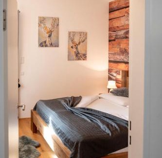 Pfarrwerfen Apartment | Berg&Selig Apartment