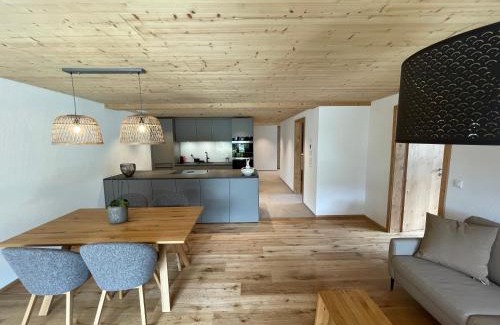 Brienz Apartment | Bergblick Apartments - Schwarzhorn