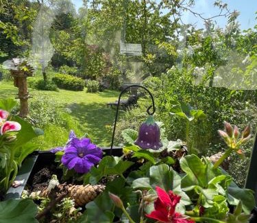 Benshausen House | Bergchalet Löwenzahn