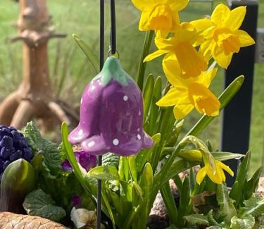 Benshausen House | Bergchalet Löwenzahn