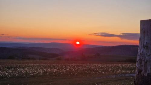 Waffenrod Hotel | Berggasthof & Hotel Kranich