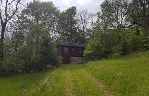Geising House | Berghütte Fürstenwalde