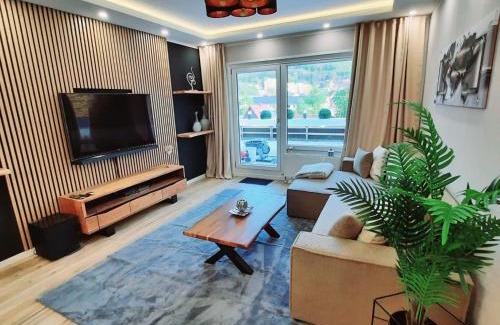 Bad Harzburg Apartment | Bergliebe 5 mit großer Terrasse, Tiefgarage & Lift