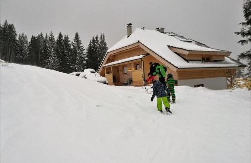 Wolfsberg House | Bergliebe Klippitztörl