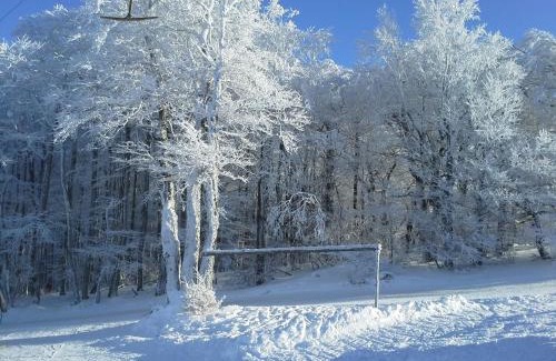 Sandberg Apartment | Bergsteiger