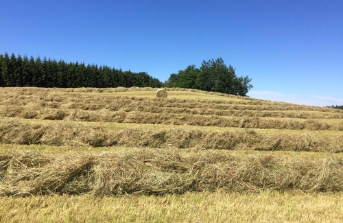 Liebenau Bed & Breakfast | Big Sky Ranch