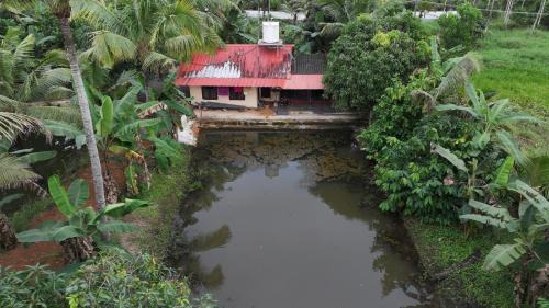 Kuruppumthara House | BIKI'S PALM VILLA