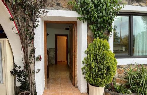 Basauri Apartment | BILBO Near ático rural con terraza