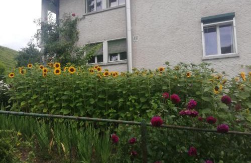 St. Gallen Apartment | Billenberghof