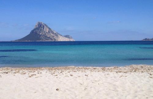 Vaccileddi Apartment | Bilocale Miramare