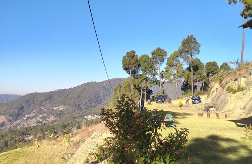 Almora Hotel | Binsar View Homestay