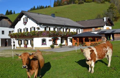 Lunz am See House | Bio Bauernhof Moas