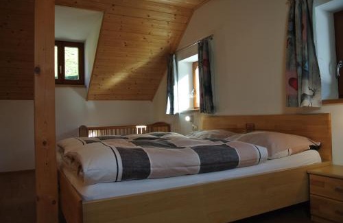 Aigen im Ennstal Apartment | Bio-Bergbauernhof Möslhof