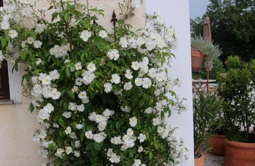 Hochosterwitz Apartment | Biohof Schmiedbauer