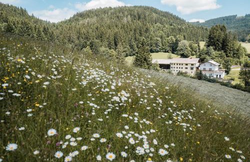 Lunz am See House | Biohof Teufel