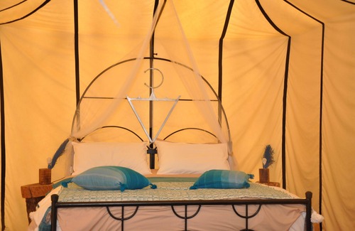 Ouijjane Other | Bivouac Sous les palmiers bleus