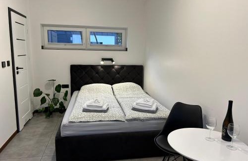 Niedzica House | BLACK & WHITE HOUSES