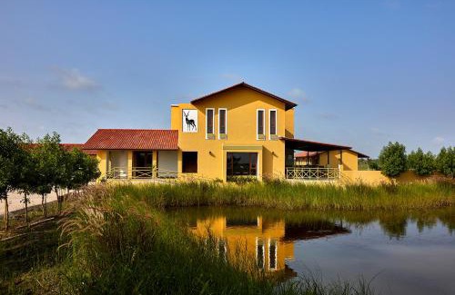 Velavadar Hotel | Blackbuck Safari Lodge Velavadar