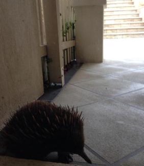 Blackstone Heights House | Blackstone Lakeside 4 Bedrooms 2 Bathrooms