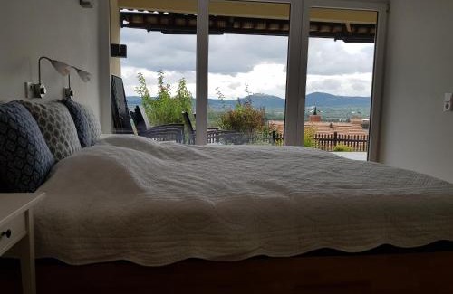 Krems an der Donau Apartment | Blick über Krems mit Terrasse