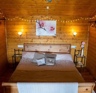 Welshpool Ski Chalet | Blossom Cabin - Little log Cabin in Wales