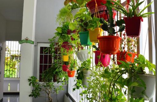 Tuy Hoa House | Blossom Homestay