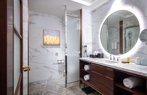 Texas Medical Center Hotel | Blossom Hotel Houston, Curio Collection by Hilton