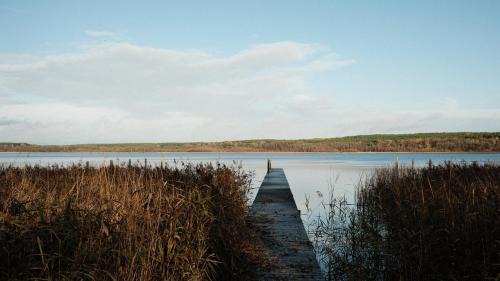 Hubertushohe Apartment | bluestar apartments am Storkower See inkl Badesteg und Gartensauna