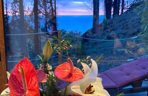 Puntagorda House | Bodega Linda