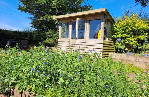 Canonbie Cottage | Bogrie Cottage