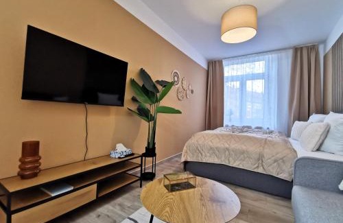 Andreasvorstadt Apartment | BohnApartments Junior SUITE Blume 14 - Nähe Dom - WLAN