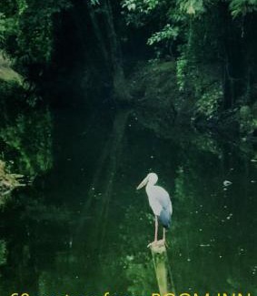 Bang Yai House | Boom inn