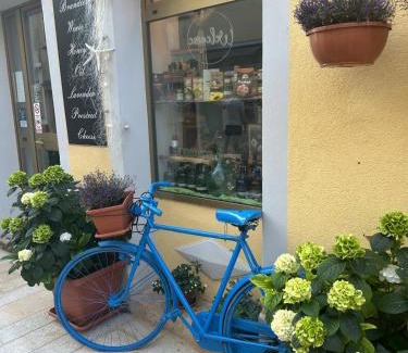 Dajla House | Boomerang - Holiday House with sea view