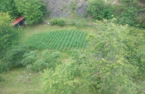 Carrodano House | #bordigona