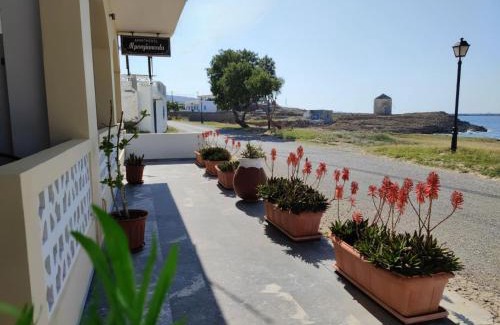 Fry Apartment | Borianoula Apartments