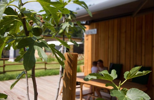 Mureck Ski Chalet | Bosruck Chalet