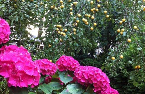 Uhlenhorst Hotel | Boulevard Hotel Hamburg