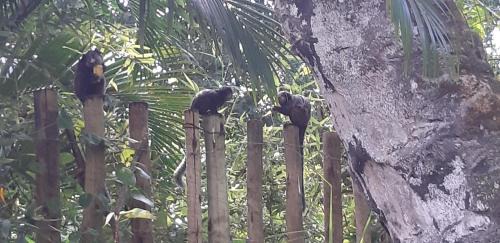 Aritagua Villa | Boutique Beach Chalet, Luzimares, Serra Grande-BA