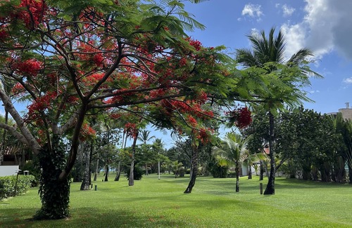 Guaeca House | Casa no Gramado, Acesso Privado a Praia com Jacuzzi e Lareira Externa