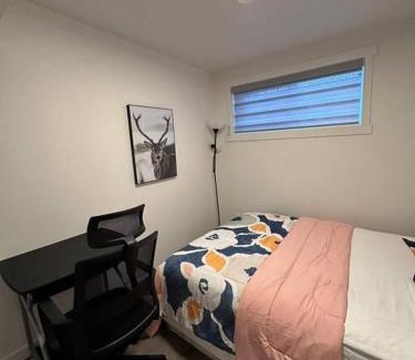 Southwest Edmonton Apartment | Brand new 1 Bedroom Basement Suite. Wi-Fi,Netflix