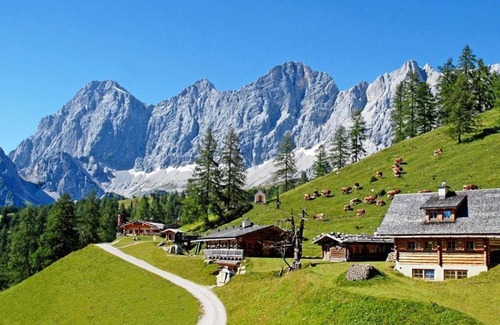 Schildlehen Cabin | Brandhof Chalets am Berg - cozy hut/1 bedroom/shower, WC