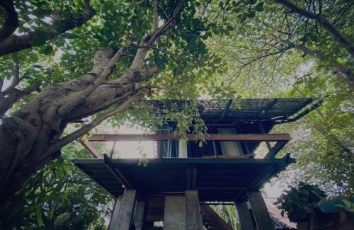 San Sai House | BREATHE - Rice Valley