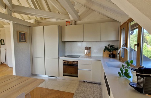 Jouxtens-Mezery Apartment | Breathtaking view of Lake Geneva and the mountains will definitely seduce you!
