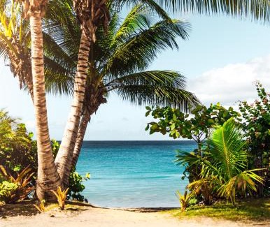 Punaluu Apartment | Breezy Beachfront Bali-Style Haven 180 Degree OceanView