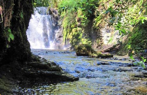 Llandybie House | Brewhouse - Uk48743